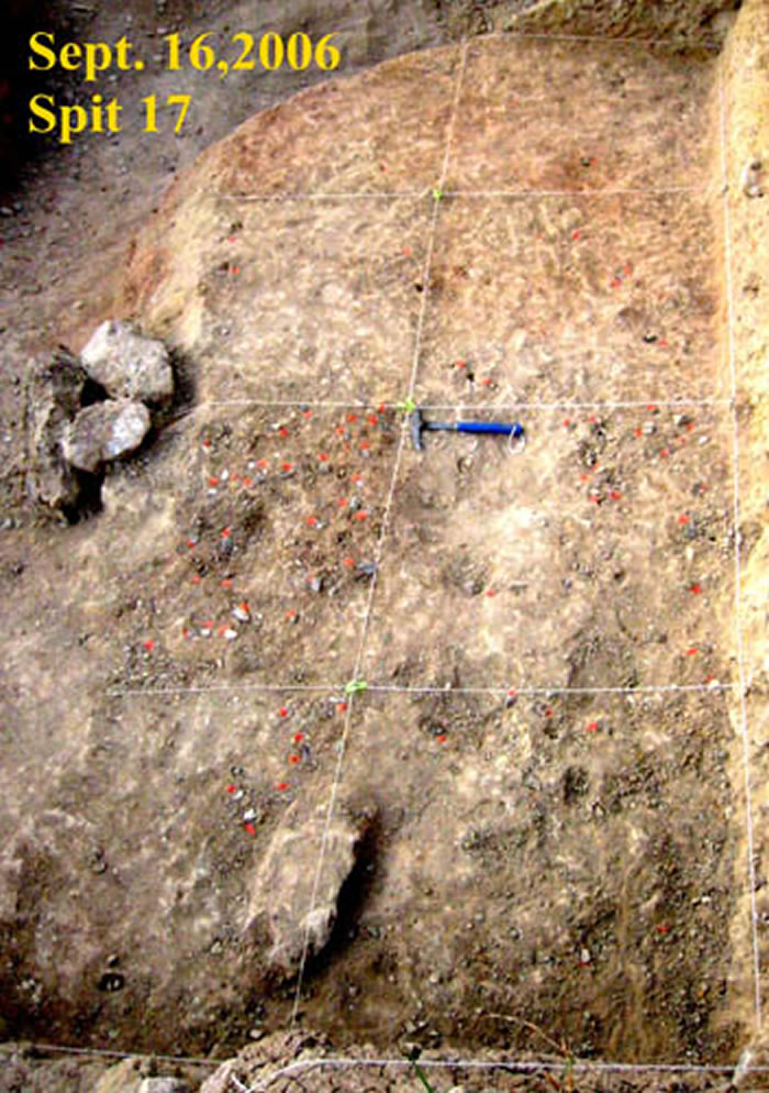 图3 黑土沟遗址第17发掘层(上图)和第23发掘层(下图)(卫奇供图)