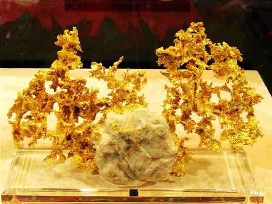 自然金，具有锯齿状断口（摄影：马志飞）