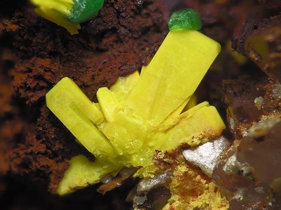 图1 粒磷铅铀矿