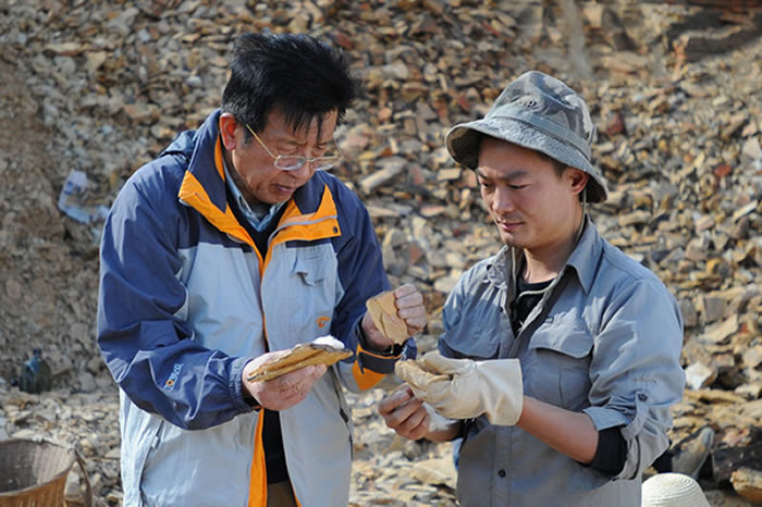 侯先光的“石头记”