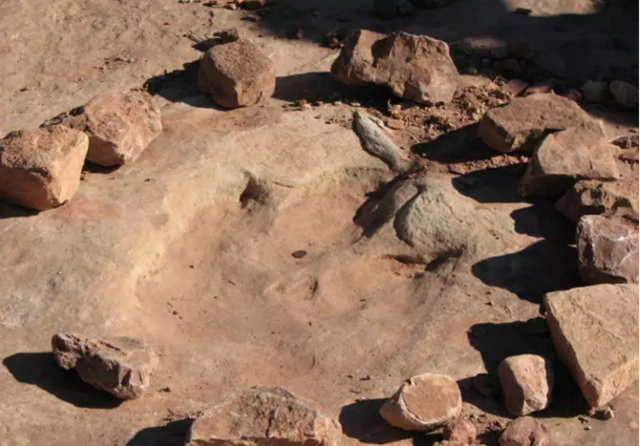 你想不想也变成化石 在亿万年后被挖出来？