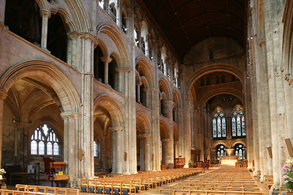 考古疑云《只有头发的棺材》那其他的部分到哪去了...... - 图片3