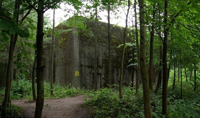 传闻藏有琥珀厅的废弃碉堡。