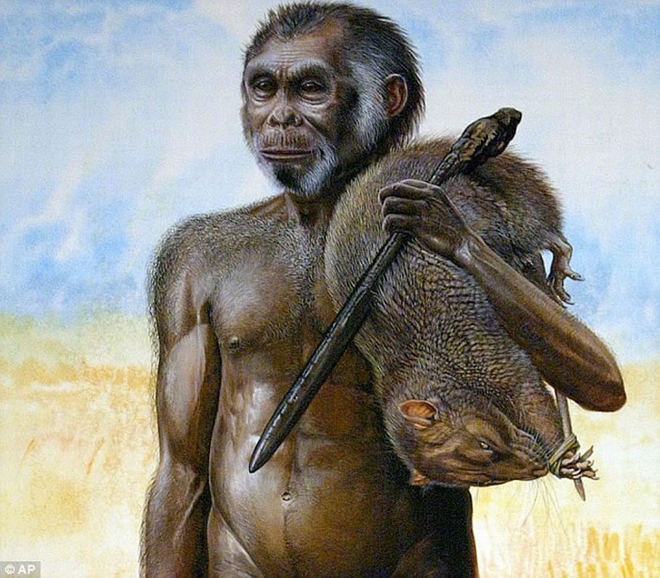 现代人类祖先进入弗洛雷斯岛导致霍比特人灭绝