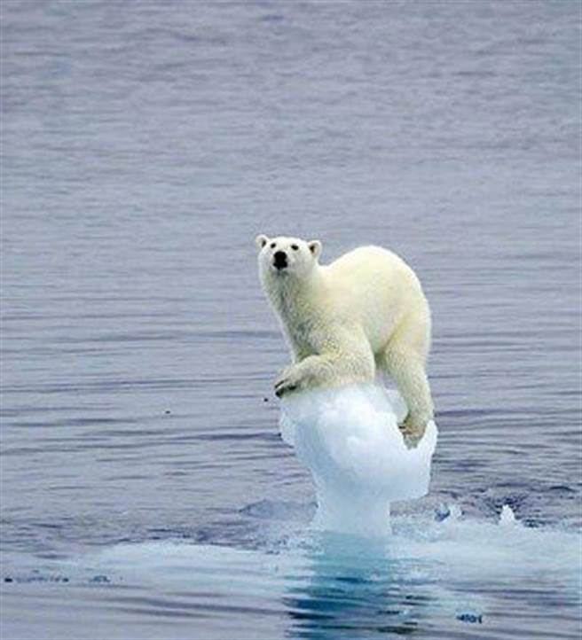 根据本世纪的气温增长速度预测，可能从现在起几代以内地球就会遭受另一次物种大灭绝。