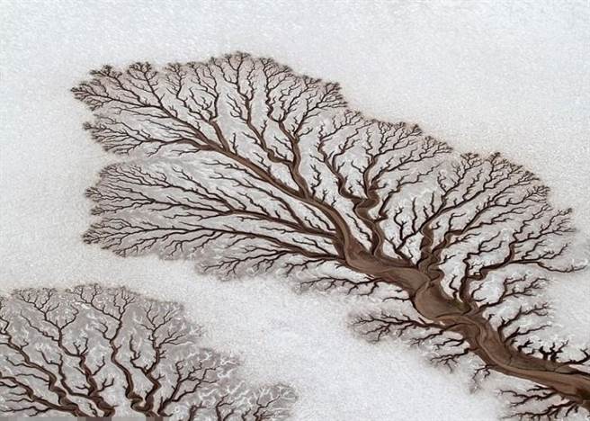 高空俯瞰下，墨西哥下加里福利亚沙漠上蜿蜒的河流分支，浑然天成一幅雪地枯木图