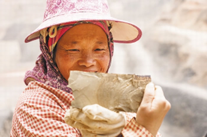 在采集点工作久了，工人能迅速分辨出普通石头和化石