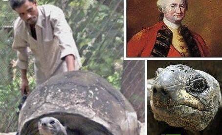 成精了！围观动物世界老寿星