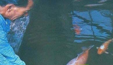 成精了！围观动物世界老寿星