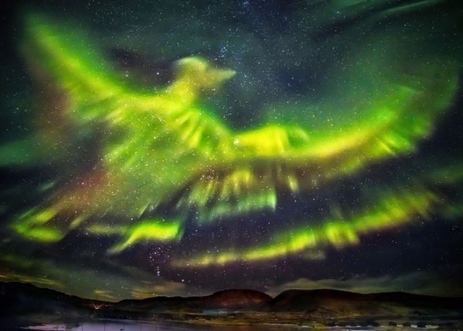 北极光化身火凤凰，非常美丽。