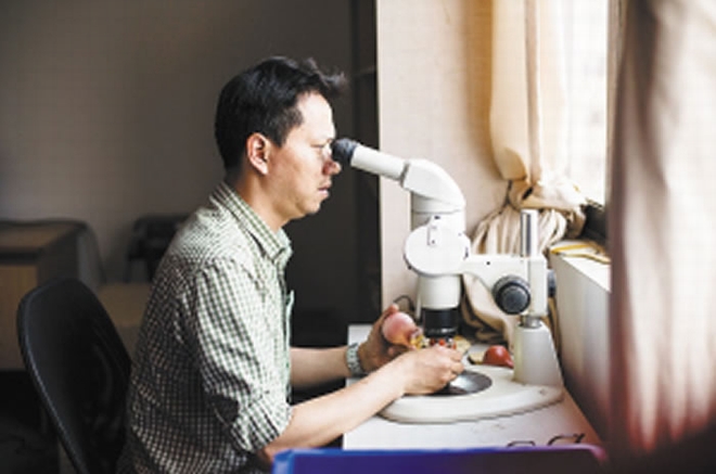 刘煜每年从德国回云南一个月，挑选一些好标本带回德国去研究