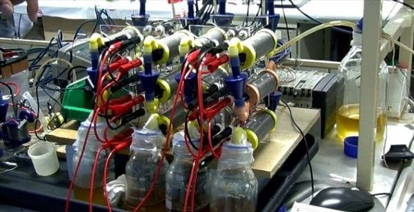 英发明尿液电池，半升尿液可为手机充电3小时