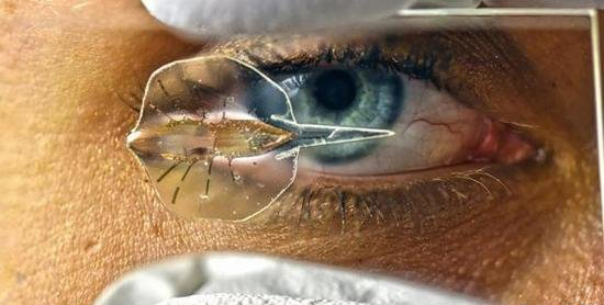 科学家用活体细胞创造了出机器鱼！啧啧啧~好腻害