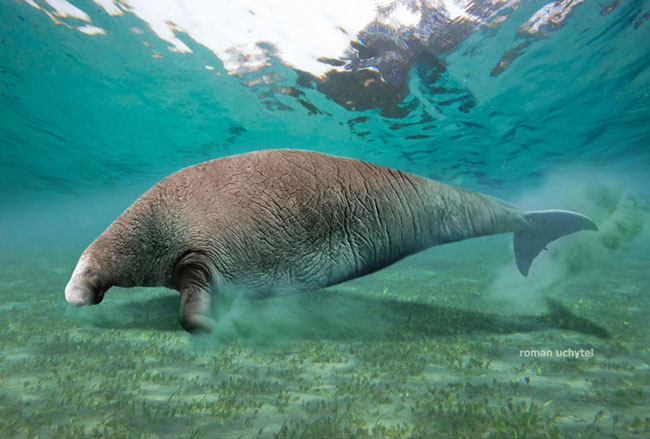 43a7d933c895d143fc894b9a73f082025baf078f