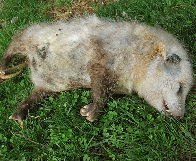 b35bd271caa456298601b004