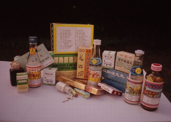 亚洲人相信犀牛角有珍贵的药用价值，甚至视为万能的灵药。