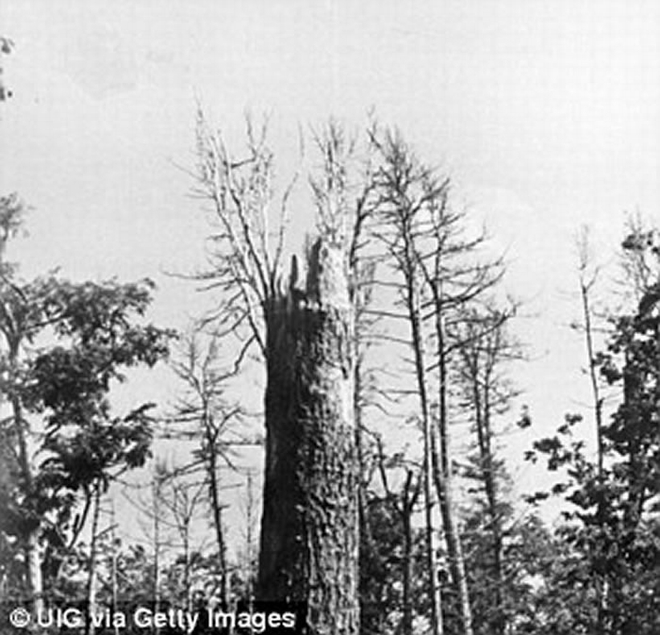 100多年前的通古斯大爆炸仍是一个未解之谜