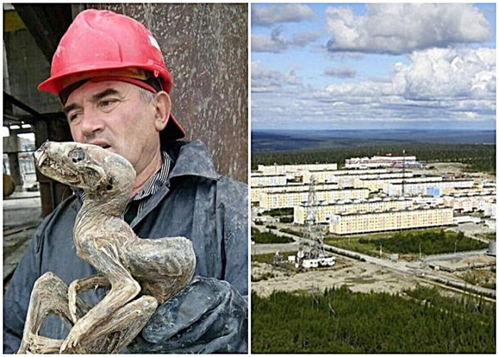 俄罗斯西伯利亚钻石矿工挖出“怪物木乃伊”不明生物遗骸