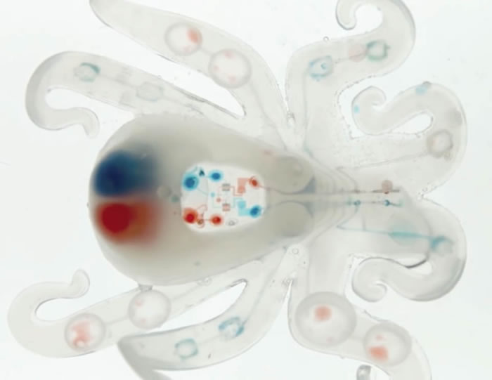世界首个通体柔性章鱼机器人”Octobot”