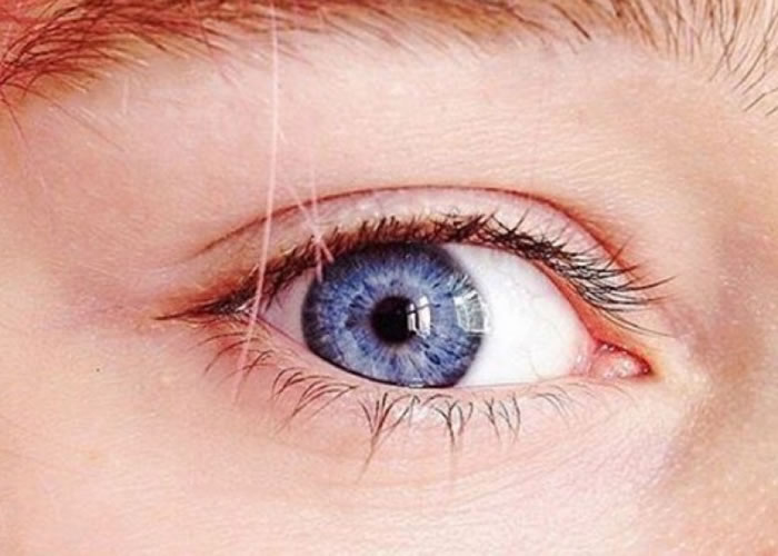 丹麦哥本哈根大学研究指所有蓝眼睛的人都是源自同一个祖先