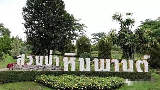 直到最近，这项谜团才被破解，原来树和果实都是“假”的。