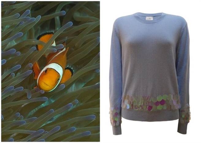 羊毛衣料所释出的微纤维易被海洋生物误服，影响海洋生态。