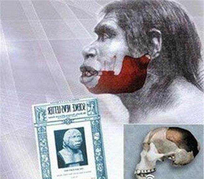 所谓的头骨，其实是用现代人类和猩猩颚骨拼凑的。