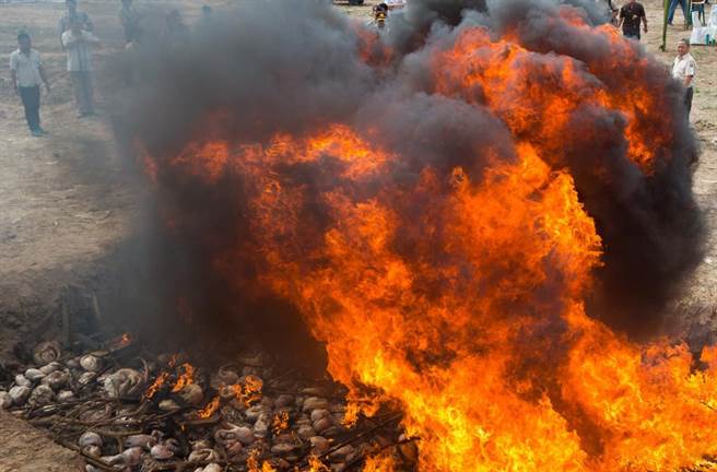 大型走私必须立即烧毁，以免再次流入市场。