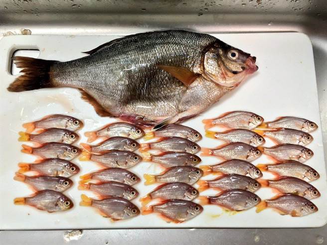 买一条鱼附赠三十条小鱼，网友将照片传至推特，引发热议。