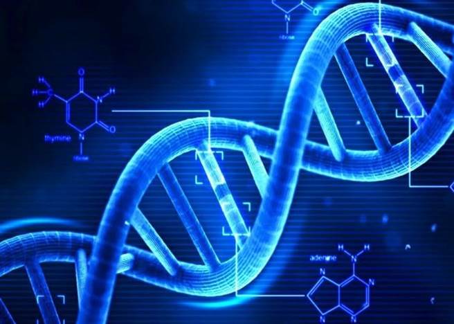 成绩好坏从受精那一刻起就注定了？