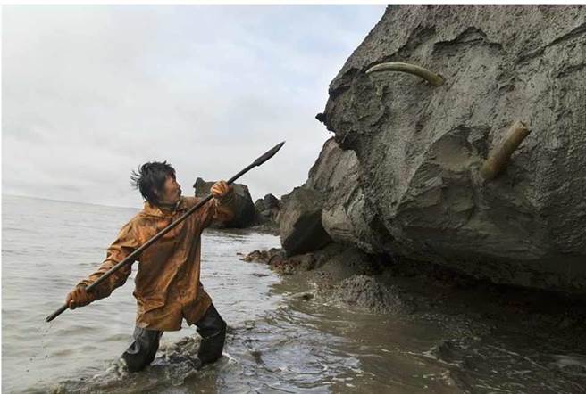 西伯利亚冻土层暴露后 竟吸引无数村民前来...