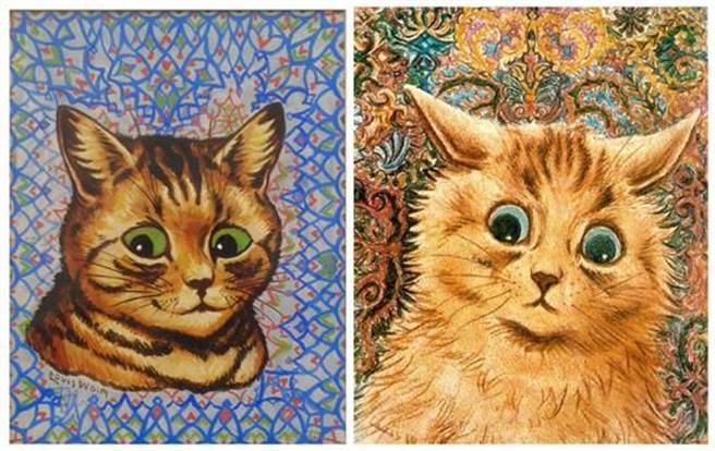 随着病情加重，猫的眼神和画面背景都不太对了