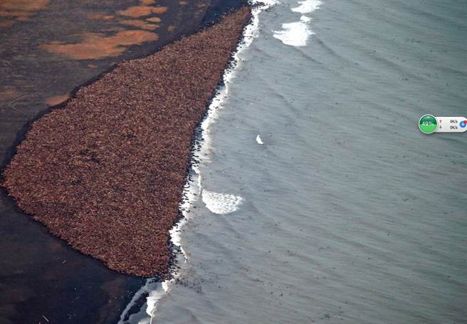 男子使用无人机，拍下这一幕震撼的画面。