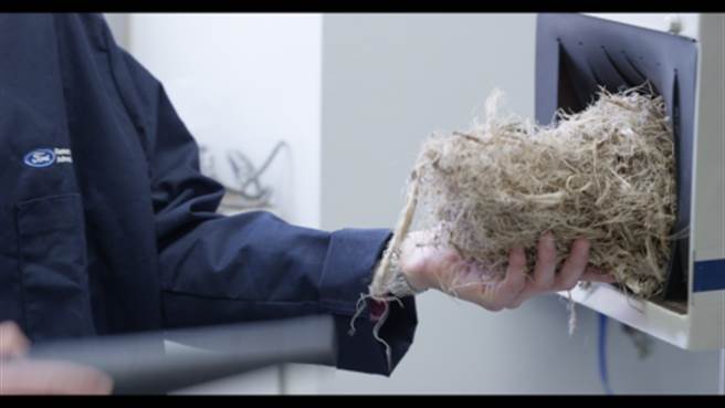 初步研究显示，龙舌兰生物塑料前景乐观，可用于制造低价、轻质环保的汽车零件。