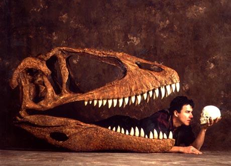 生物死后基因会怎样变化呢？