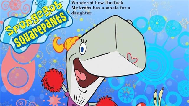 鲸鱼来大姨妈怎么办？丨壹读知道