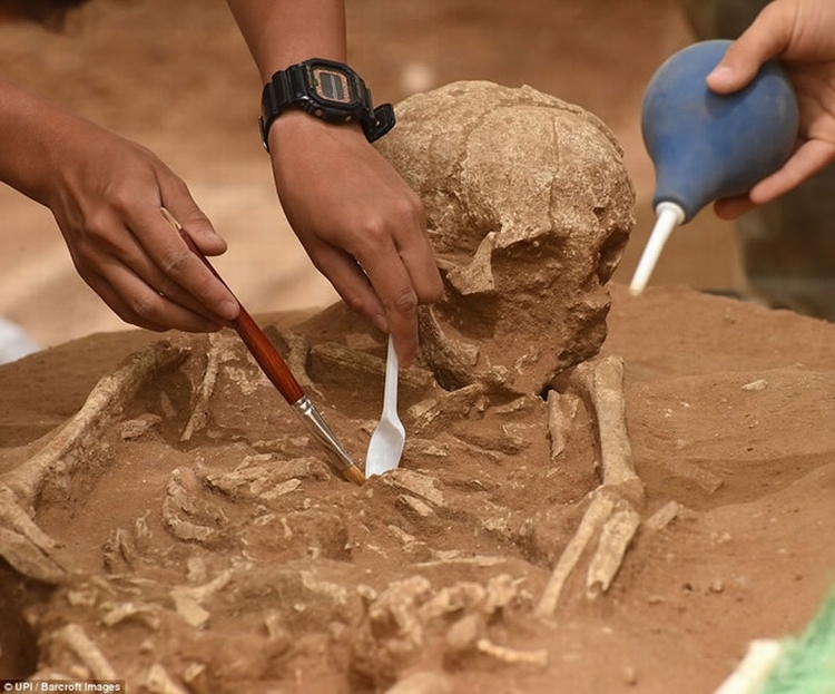 美国考古学家在以色列发现首个歌利亚后裔非利士人墓地