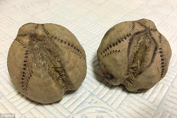 英国海岸发现大量恐怖“异形蛋” 引发外星人逆袭恐慌