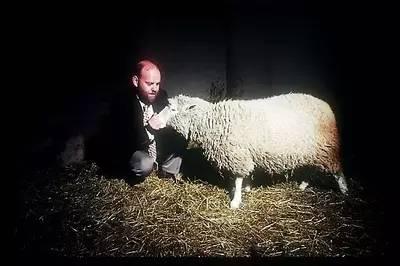 科学家伊恩·威尔默特与克隆羊多利