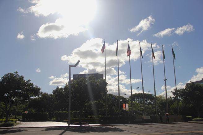 热到想死！热岛效应提升老人自杀率