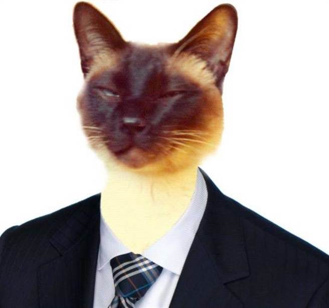 密西根州立大学的物理系主任显然觉得这不够，1975年，他亲自写信给Hetherington，“让它做客座教授也行嘛...”