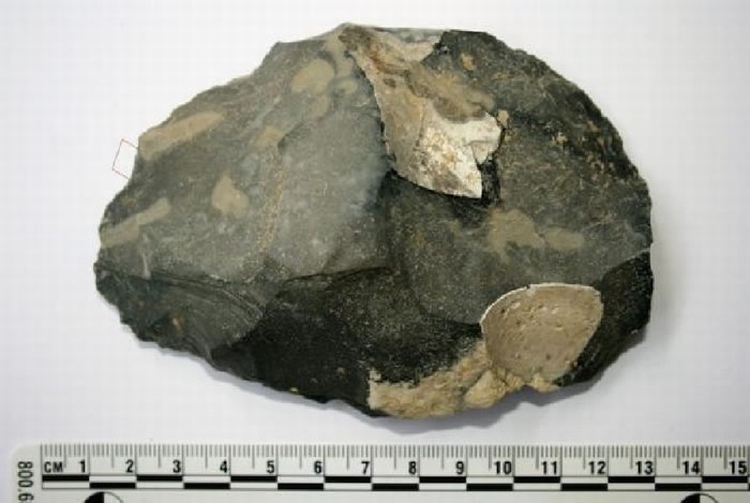 25万年前生活在现约旦西北部地区的早期人类对恶劣环境有强大适应力