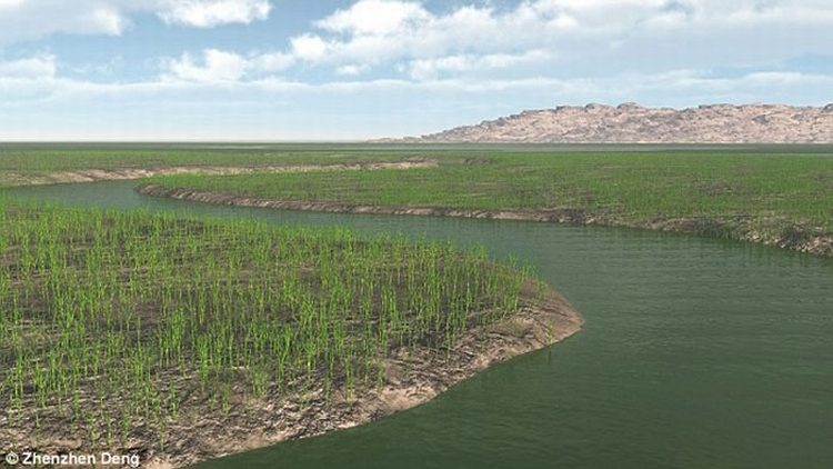 早期维管植物遗存提供亚洲最早的有根土壤床证据