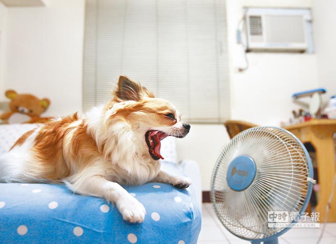 舒服到不时打哈欠