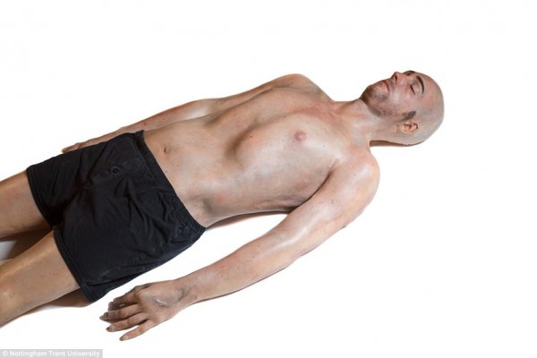 3D打印人体模型，将用于训练外科医生 [慎入]