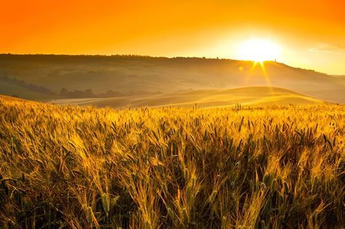 图片来源：Getty