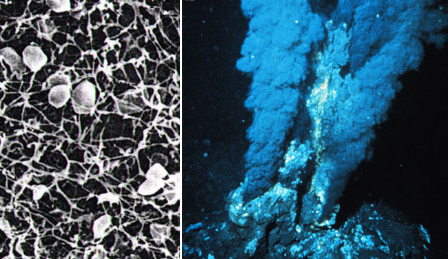 dc54564e9258d10917639d4cd158ccbf6d814d4f