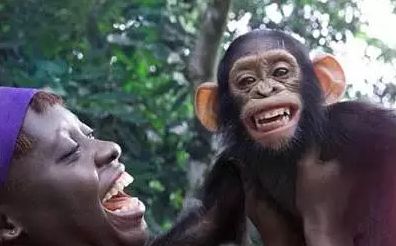 （图片来自网络）