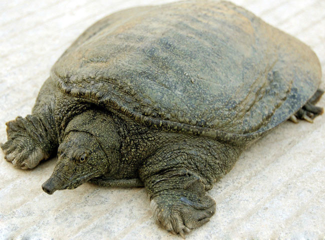 c2cec3fdfc039245368f3cc48294a4c27c1e25c7