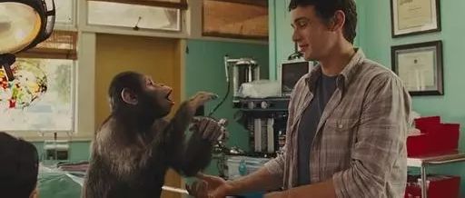 （图片来自网络）